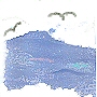 click for more colors