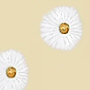 click for more colors