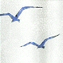 vinyl sea gull extra long standard tub and shower stall shower curtain