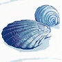 seashell beach theme non toxic fabric shower curtain