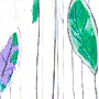 click for more colors