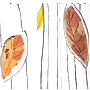 eco friendly pvc free shower curtain with rust and brown leaves