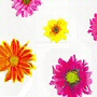 bright flower pattern non toxic peva shower curtain