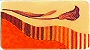 Beautiful bold bright darkorange with a range of deep wine redpurple burgundy squash orange andpeach orange